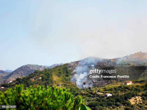 incendio - incendio stock pictures, royalty-free photos & images