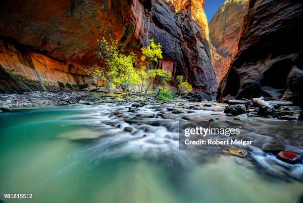 zion narrows - melgar stock-fotos und bilder