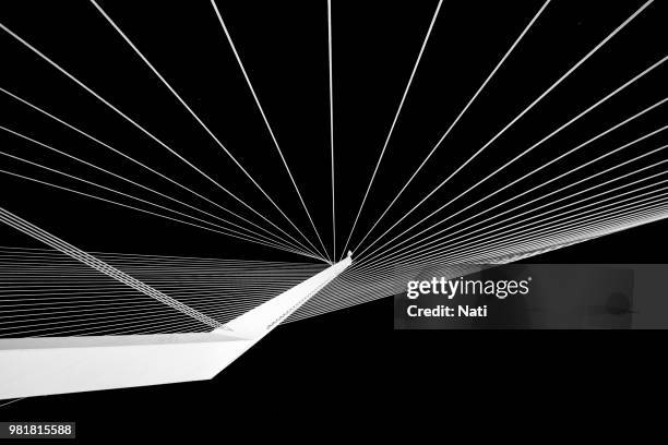 1,418 String Bridge Stock Photos, High-Res Pictures, and Images - Getty ...