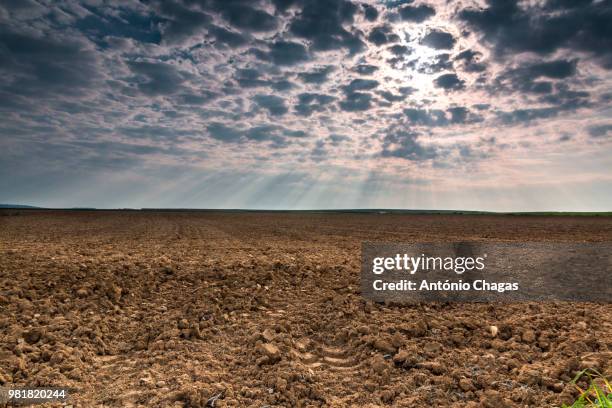 clouds and sunlight over field, alentejo, portugal - chagas stock-fotos und bilder