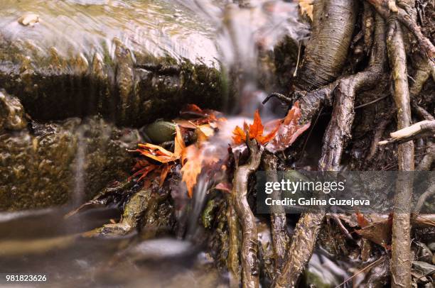 Exposing Photos and Premium High Res Pictures Getty Images Exposing Photos and Premium High Res Pictures Getty Images