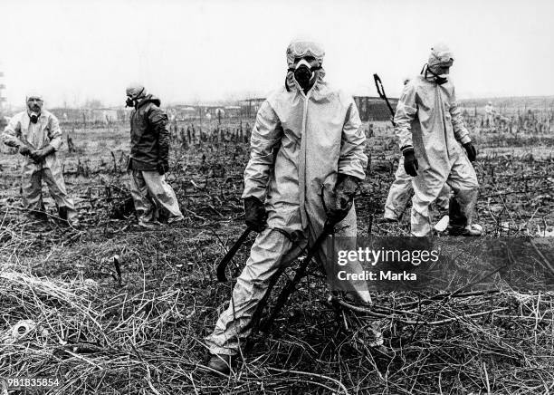 Seveso. Ecological Disaster After The Explosion Chemistry Plant. 1976.