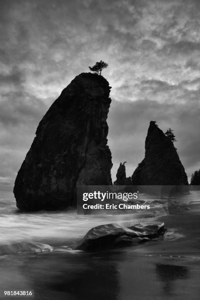 rialto beach - rialto beach stock pictures, royalty-free photos & images