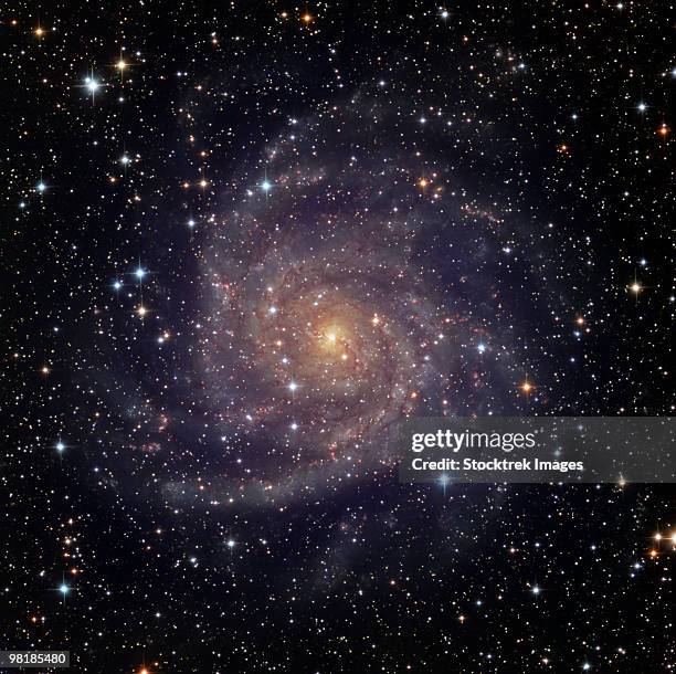 ic 342, an intermediate spiral galaxy in the constellation camelopardalis. - pinwheel galaxy stock pictures, royalty-free photos & images