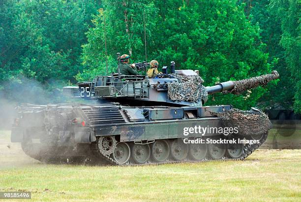 the leopard 1a5 main battle tank. - panther tank stock-fotos und bilder