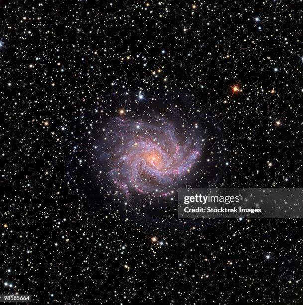 the fireworks galaxy - pinwheel galaxy stock pictures, royalty-free photos & images