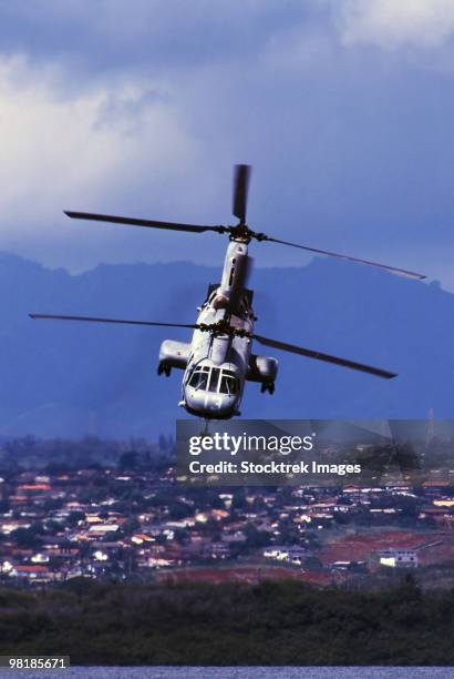 a ch-46 sea knight helicopter in flight. - helicopter blades stock pictures, royalty-free photos & images