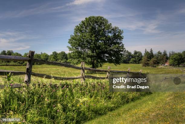 untitled - rail fence stock pictures, royalty-free photos & images