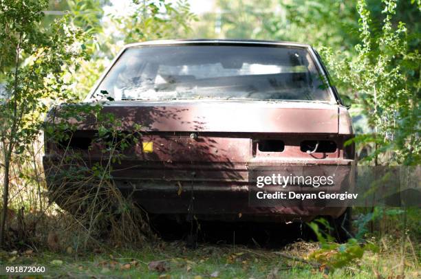 old, broken car between green bushes - green car crash imagens e fotografias de stock