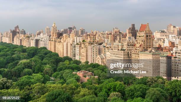 high angle view of central park - new york - quinta avenida imagens e fotografias de stock