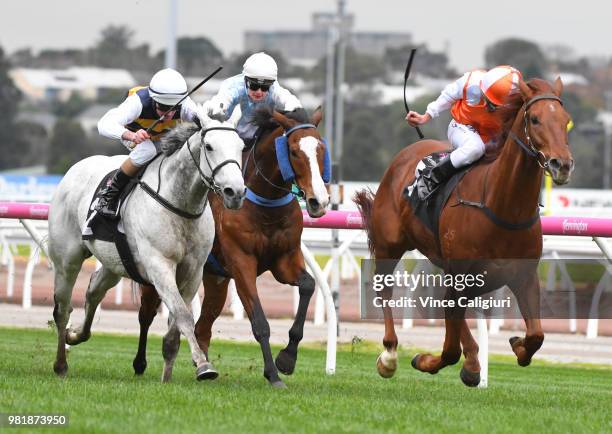 Damien Oliver riding Lycurgus defeats Luke Nolen riding Grey Lion in Race 5 during Melbourne Racing at Flemington Racecourse on June 23, 2018 in...