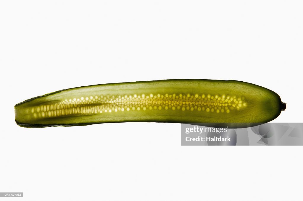 A slice of a pickle on a lightbox