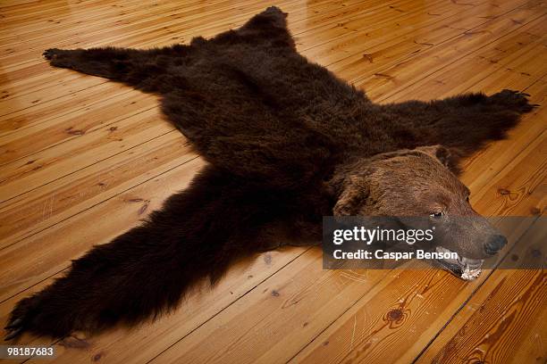 a bear skin rug on wooden floorboards - animal skin rug stock-fotos und bilder