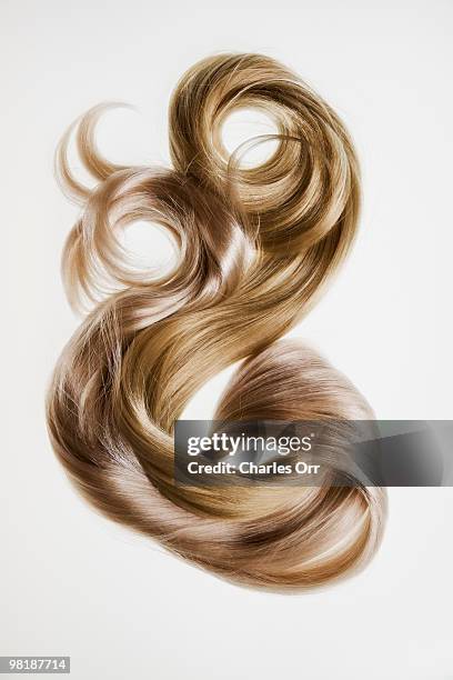 two blond hair pieces - hair beauty imagens e fotografias de stock