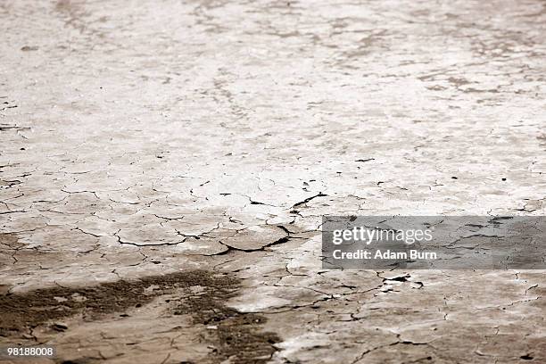 detail of cracked earth - el mirage photos et images de collection