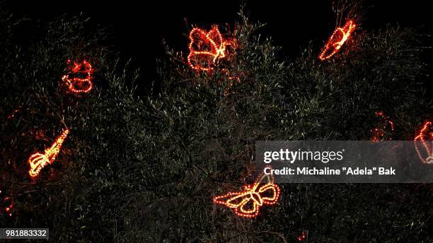 pretty butterfly lights - adela foto e immagini stock