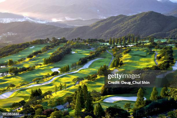 a golf course in seoul, south korea. - korea stockfoto's en -beelden