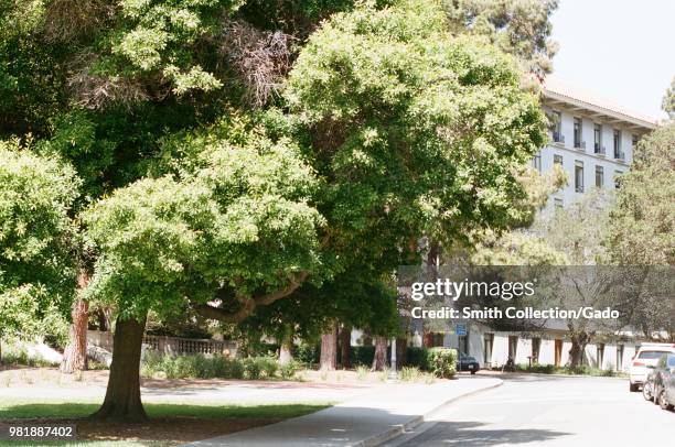 Tree lined walking paths and academic buildings are visible on a sunny day on the campus of UC Berkeley in downtown Berkeley, California, May 21,...