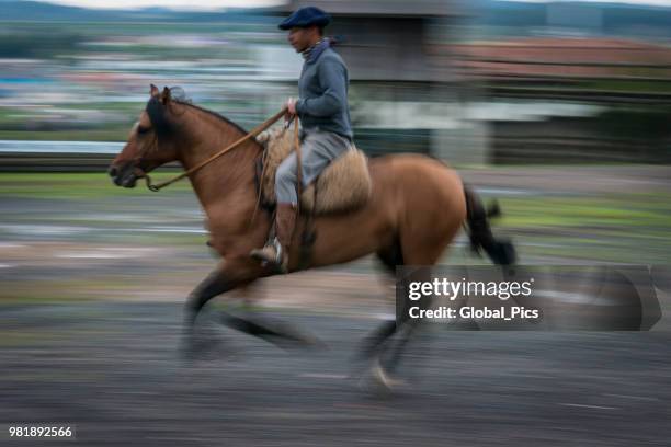 gaucho and a horse - gaucho festival stock pictures, royalty-free photos & images