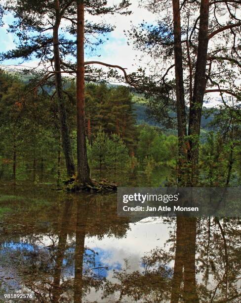 reflections, vangsvannet, voss in norway - atle stock pictures, royalty-free photos & images