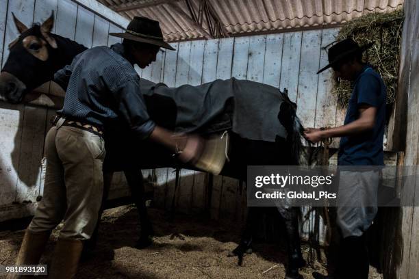 gauchos and horse - gaucho festival stock pictures, royalty-free photos & images