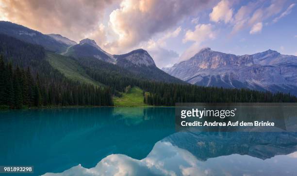 emerald lake - auf dem land stock pictures, royalty-free photos & images