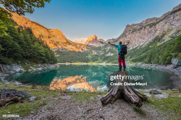 erfolg in alpen - wanderer am gosausee mit dachstein-blick - dieter meyrl stock-fotos und bilder