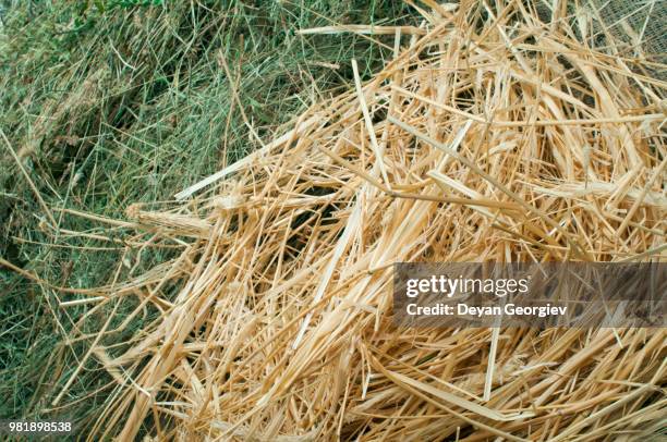 straw and hay close up background - needle in a haystack 英語の慣用句 ストックフォトと画像