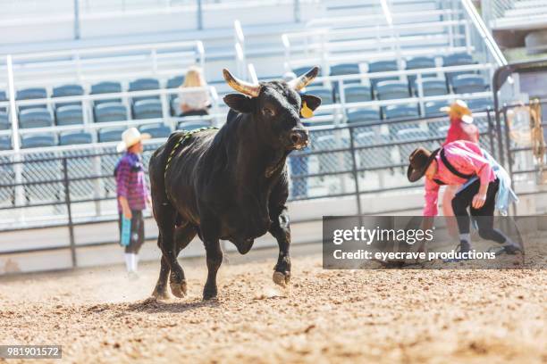 527 Bull Mounting Cow Stock Photos, High-Res Pictures, and Images ...