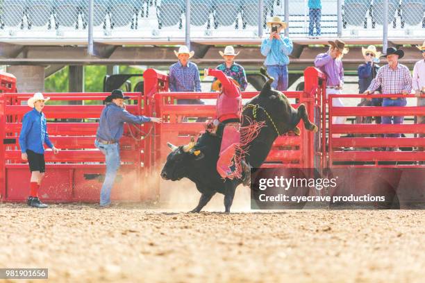 Bull Pen Rope 1,727 Bull Pen Stock Photos, High-Res Pictures, and Images - Getty Images