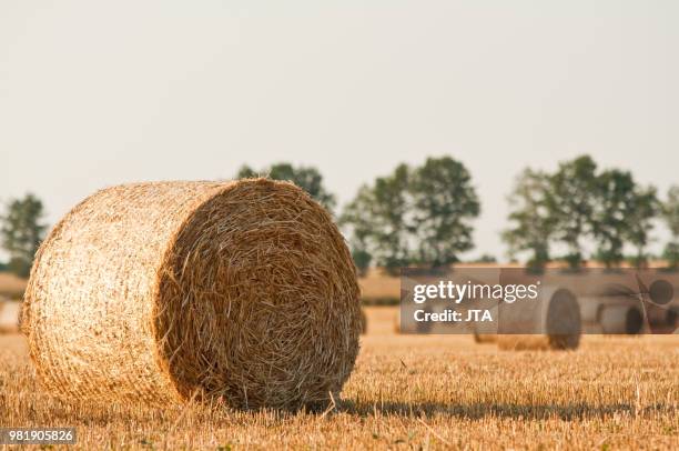 Hay Bale Rolling Photos and Premium High Res Pictures - Getty Images