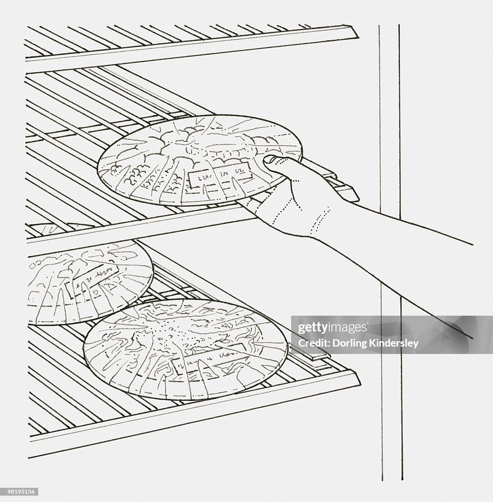 Black and white illustration of freezer being stocked with meals in single portions