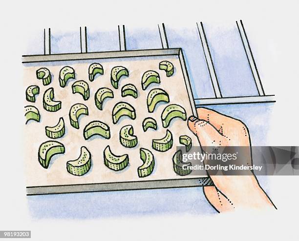 pieces of celery on a baking tray being placed in the oven - baking sheet stock illustrations