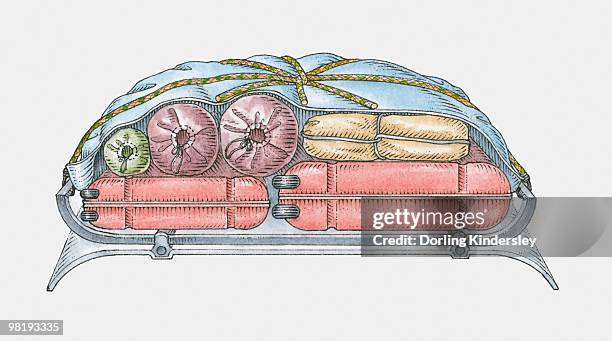 roof of a car loaded with luggage, covered with waterproof tarpaulin - roof rack stock illustrations