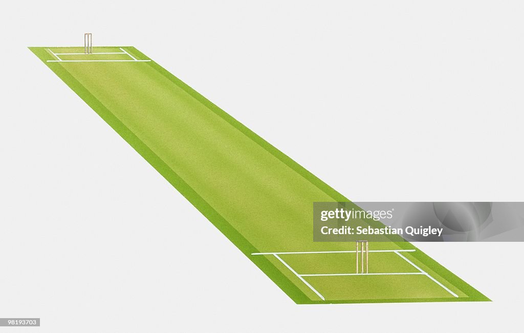 Cricket pitch