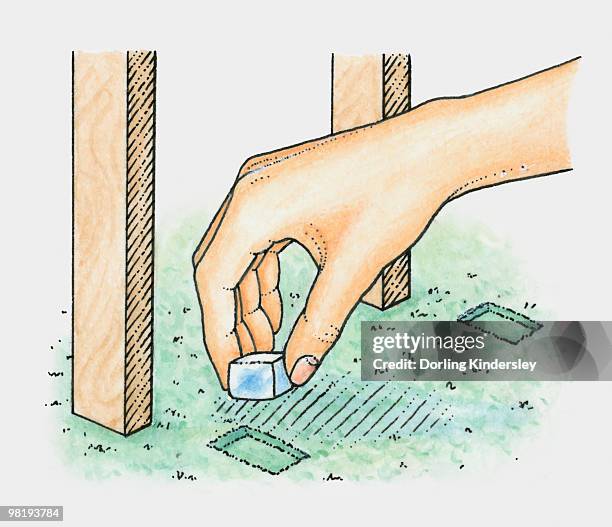 hand placing ice cube into dent in carpet caused by legs of table or chair (removing dent in carpet) - carpet stock illustrations