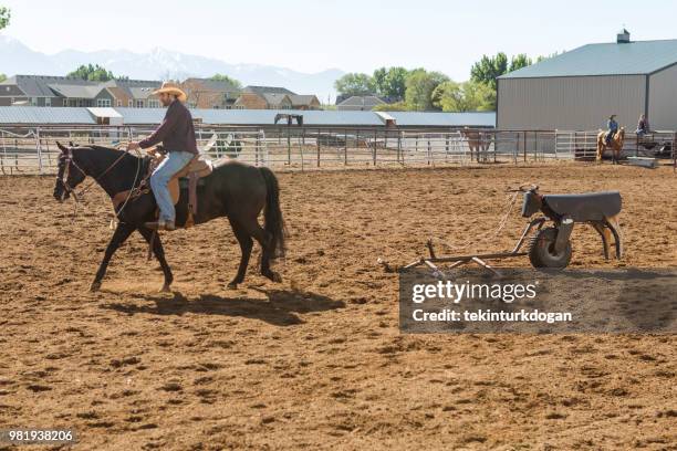 Fake Horse Photos and Premium High Res Pictures - Getty Images