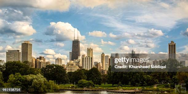 lincoln park zoo - lincoln park zoo stock pictures, royalty-free photos & images