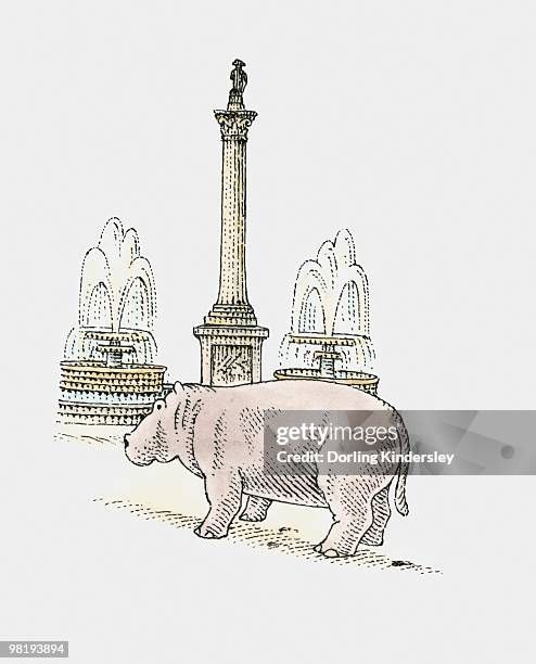 a hippopotamus next to nelson's column, trafalgar square, london - trafalgar studios stock illustrations