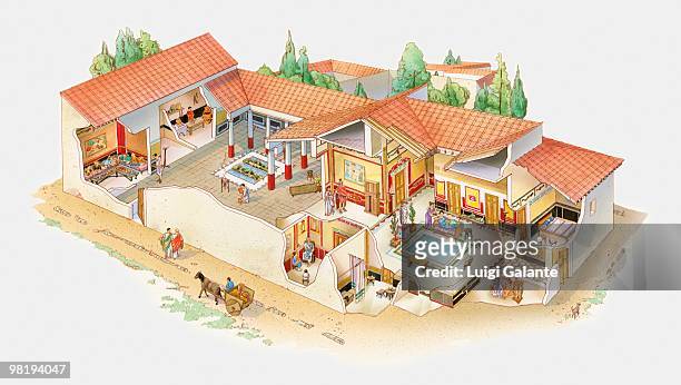 stockillustraties, clipart, cartoons en iconen met cross section illustration of roman villa - villa