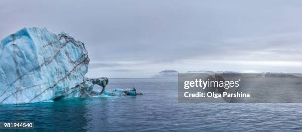 franz josef land landscape - oceano-ártico imagens e fotografias de stock