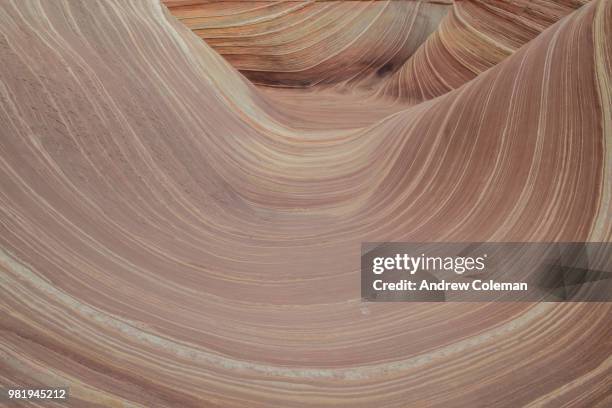 paria canyon-vermilion cliffs, arizona. - paria canyon stockfoto's en -beelden