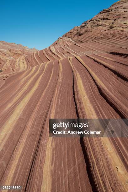 paria canyon-vermillion cliffs, arizona. - paria canyon stockfoto's en -beelden