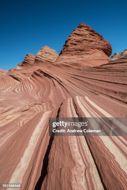 paria canyon-vermillion cliffs, arizona. - paria canyon foto e immagini stock