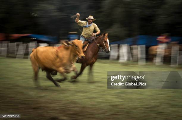 rodeo - brazil (rodeo crioulo) - gaucho festival stock pictures, royalty-free photos & images