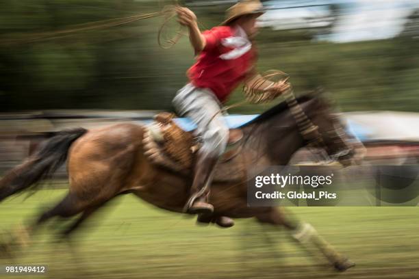 rodeo - brazil (rodeo crioulo) - gaucho festival stock pictures, royalty-free photos & images