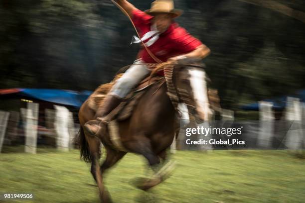 rodeo - brazil (rodeo crioulo) - gaucho festival stock pictures, royalty-free photos & images