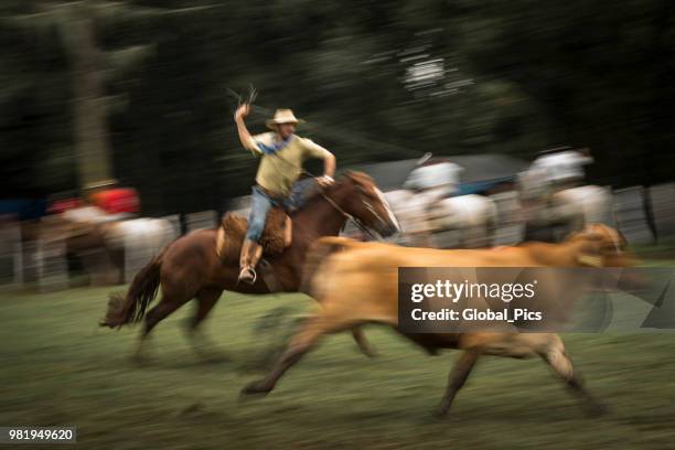 rodeo - brazil (rodeo crioulo) - gaucho festival stock pictures, royalty-free photos & images