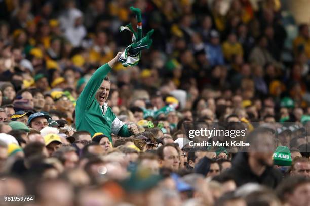 An Ireland supporter cheers during the Third International Test match between the Australian Wallabies and Ireland at Allianz Stadium on June 23,...