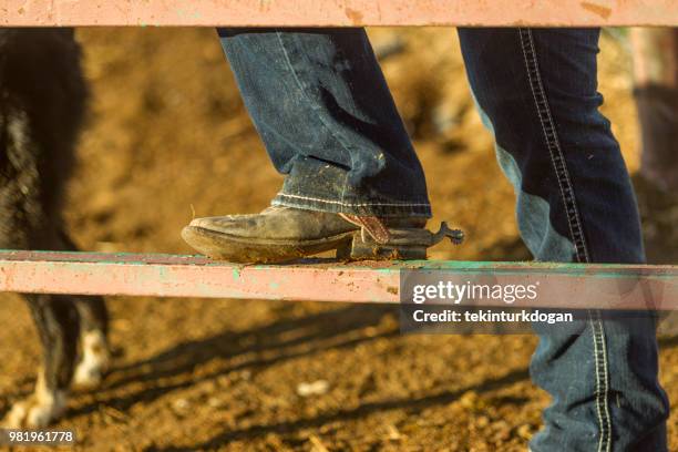 cowboy shoes with spur at ranch paddock in salt lake city slc utah usa - boot spur stock pictures, royalty-free photos & images